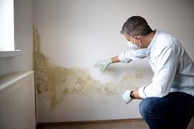 Best Real Estate Mold Inspection in Huntertown, IN